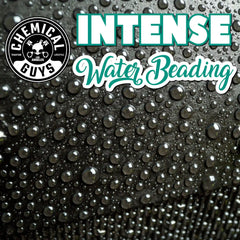 HydroShield Vinyl, Rubber, Plastic Ceramic Shine Coating